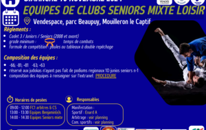 EQUIPES DE CLUBS SENIORS MIXTE LOISIR