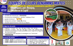 EQUIPES DE CLUBS BENJAMINS MIXTES