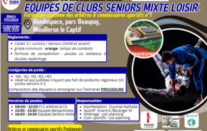 EQUIPES DE CLUBS SENIORS MIXTE LOISIR