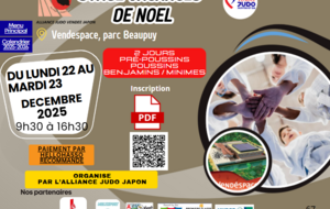 STAGE SPORTIF PRE POUSSINS POUSSIN BENJAMINS  MINIMES 2 jours Vendespace