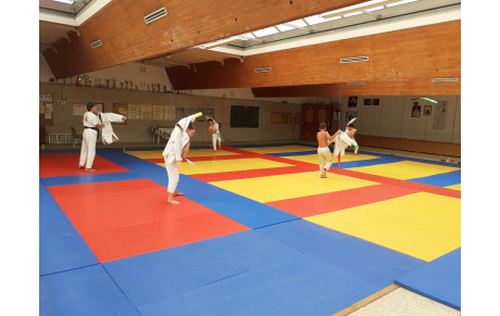 Reprise des cours dans le dojo : idée d' installation spéciale frite....